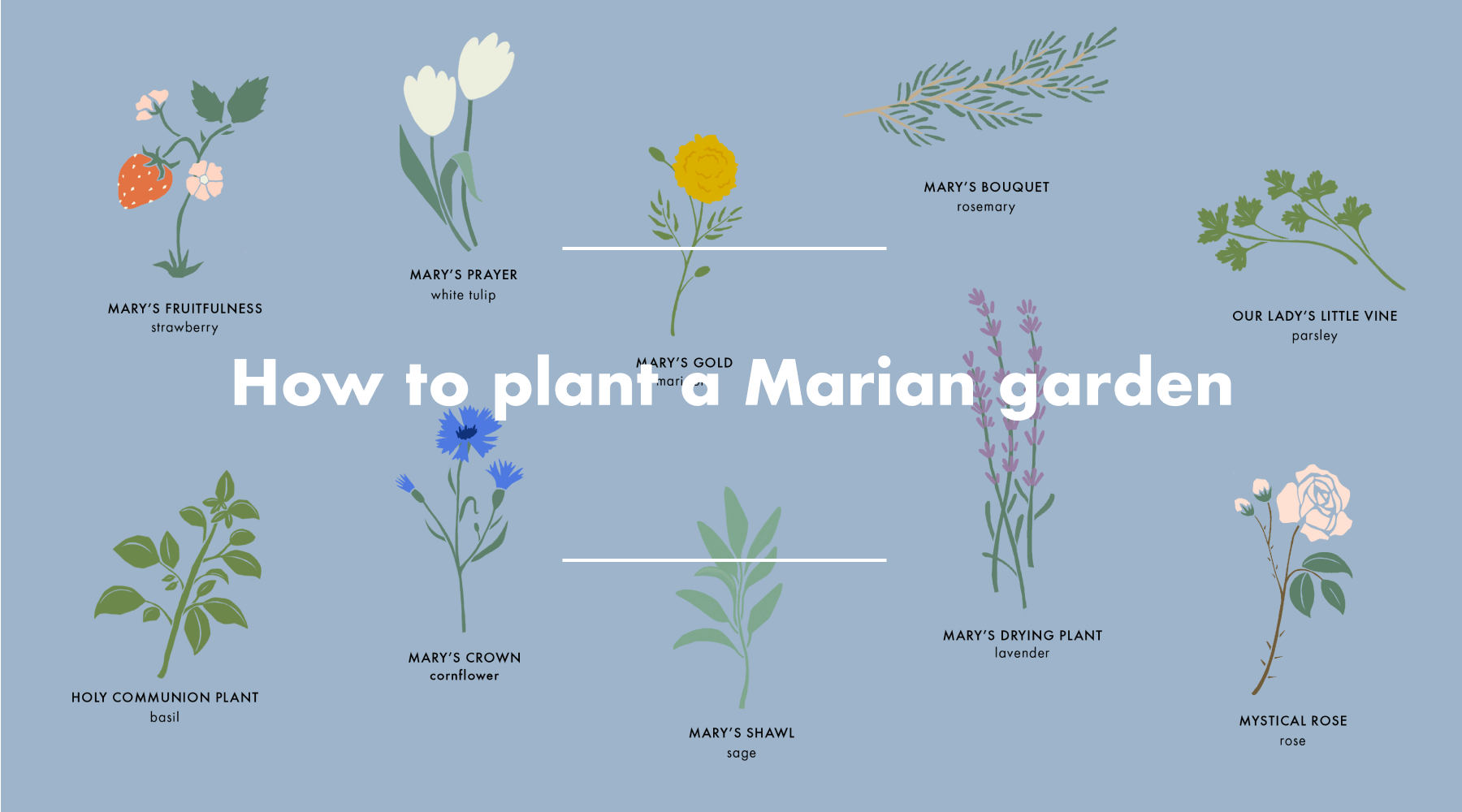 Plant A Garden For Mary