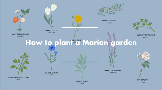 Plant A Garden For Mary