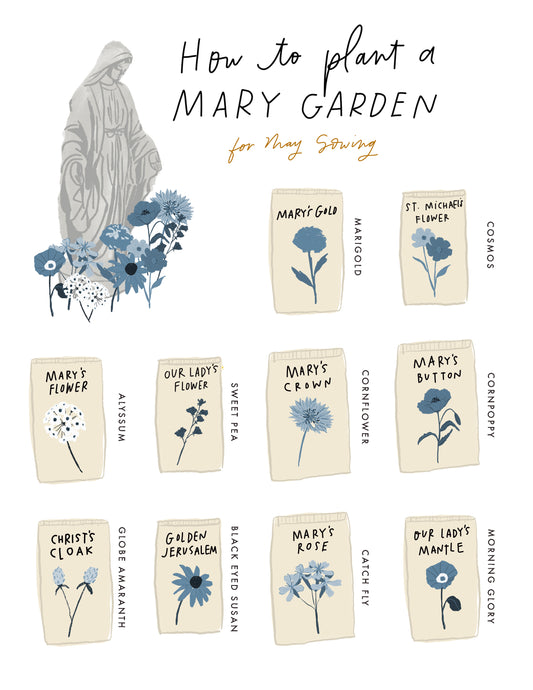 Plant a Mary Garden