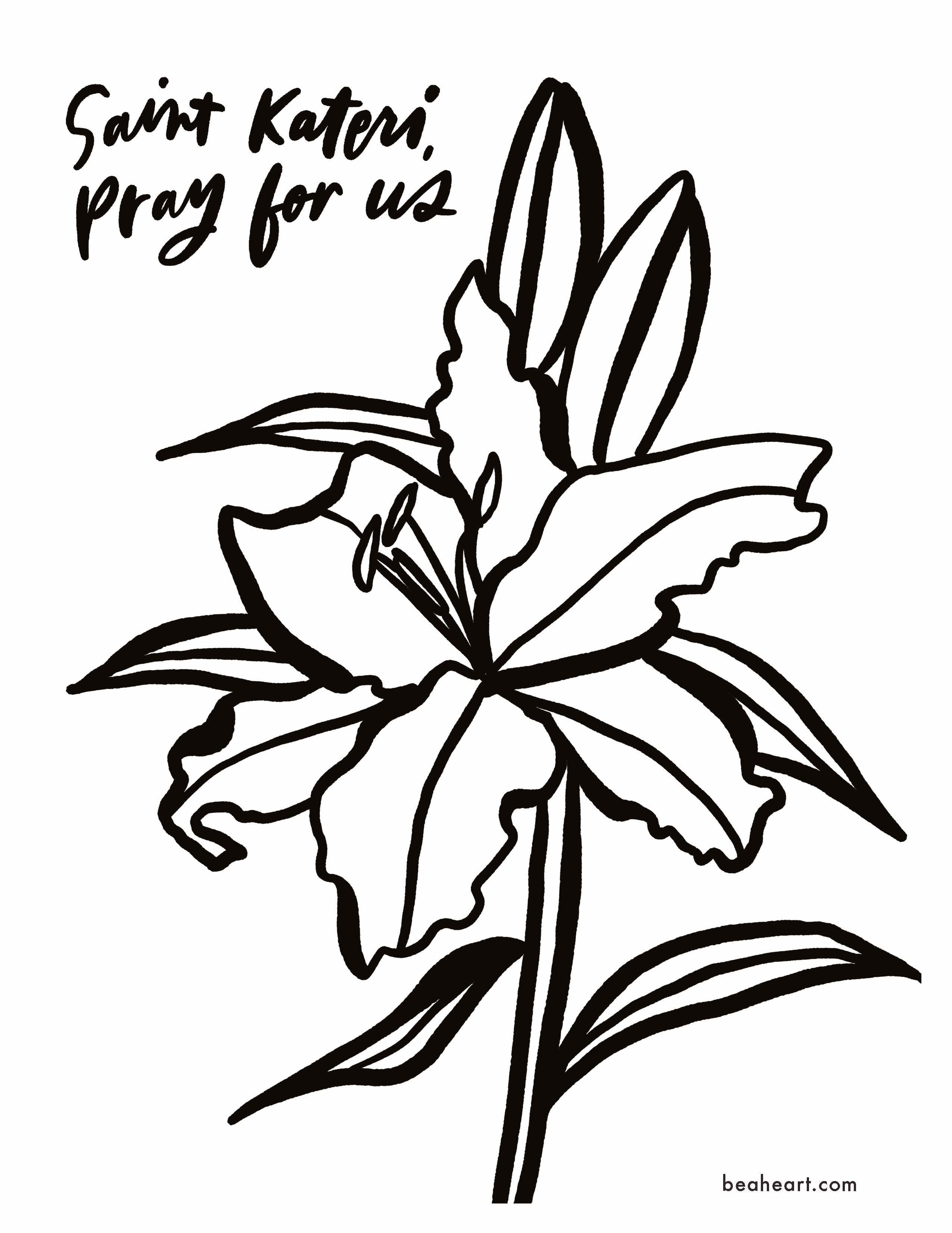 Free St. Kateri's Lily Coloring Page