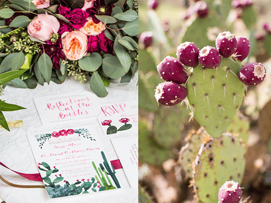 Tucson, Arizona Wedding.